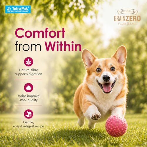Image of Grain Zero Dog Fresh Food Tetra Pak Real Chicken & Turkey Delight, for Adult & Puppy, 350g | Supports Joint & Health | Anti-Inflammatory Properties | Ready to Serve | One Pack One Meal