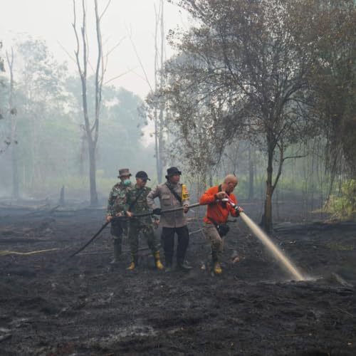 How the 'super' El Ni&ntilde;o could reshape global weather