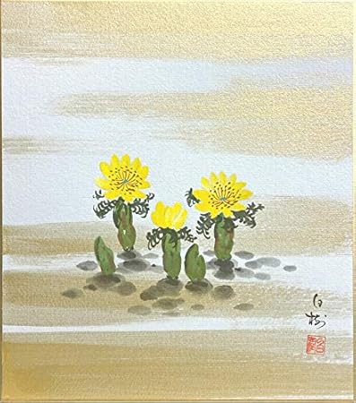 Amazon Co Jp 川村白樹 福寿草 色紙絵 ホーム キッチン