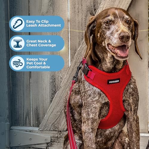 Image of Best Pet Supplies Voyager Step-in Lock Pet Harness w Reflective Pet Leash Combo Set with Neoprene Handle 5ft - Supports Small, Medium and Large Breed Puppies /Cats - Red, S