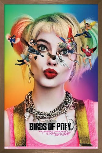Affiche murale DC Comics Oiseaux de proie poster de film encadré décoration chambre geek