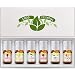 Fragrance Oils Set of 6 Scented Oils from Good Essential - Banana Oil, Cranberry Oil, Apple Oil, Coconut Oil, French Vanilla Oil, Peach Oil: Aromatherapy, Perfume, Soaps, Candles, Slime, Lotions!