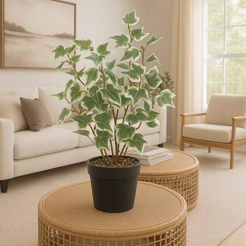 Image of Habere India-All the Cultures Fabricating India Artificial Plant with Pot for Home Decor | Fake Plants for Living Room Decoration | Artificial Plants for Decoration (Design 07; L15 x W14 X H30 cm)