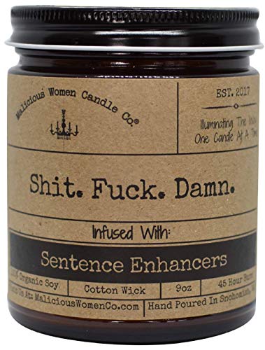 Malicious Women Candle Co - Shit. Fuck. Damn, Oakmoss & Amber Infused with Sentence Enhancers, All-Natural Organic Soy Candle, 9 oz