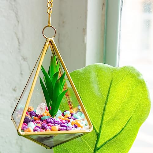 DIY Crystal Terrarium, Terrarium Kit, DIY Terrarium Kit, Kids Terrarium Kit