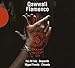Qawwali - Flamenco