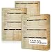 100 Sheets 12th Generation Family Group Sheets 3 Hole Genealogy Research Forms 8.5x11 inch Genealogy Charts To Fill In Two Sided Blank Genealogy Forms Vintage Family Tree Work Sheet for Research