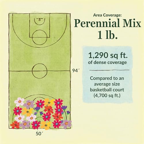 Image of Ferry-Morse Perennial Bulk Wildflower Seeds, 200,000+, 1 lb