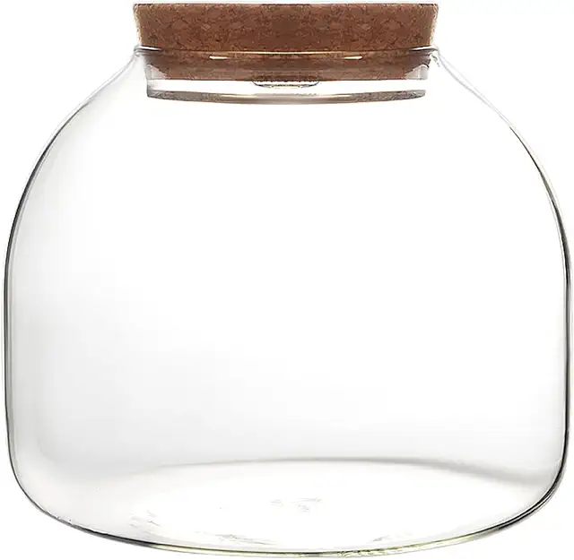 Terrario in Vetro da 1600 ml con Coperchio in Sughero per Piante Grasse e Composizioni