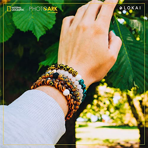 Lokai-National-Geographic-Collection-Silicone-Bracelet