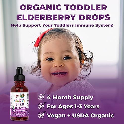 Elderberry Syrup For Toddlers By Maryruth's | Usda Organic | Black Elderberry Liquid Drops For Immune Support | Sambucus Elderberry For Overall Health | Vegan | Non-Gmo | Gluten Free | 128 Servings #TOP6