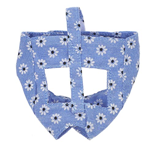 Angoily 1 L  L  ybg  Lp ނ  L  L \tg R[ L LA L  q   Lp  L R[ X