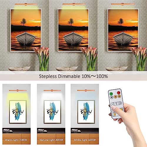 Image of MIOBLUE LED Picture Light Battery Operated with Remote, 16in Rechargeable Picture Light for Paintings,Metal Display Art Light with Timer and Dimmable for Frame,Wal,Artwork,Portrait,Gallery,Dartboard