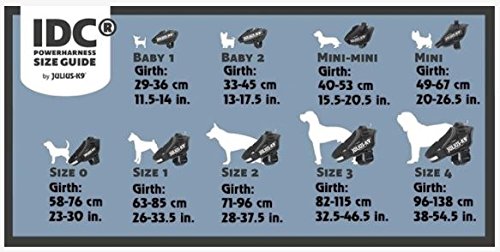 K9 Powergeschirr, Größe: XL/2, Schwarz