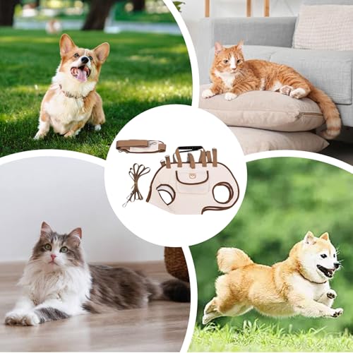 Correa de gato y perro impermeable con ventanas transpirables para senderismo 6