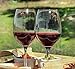 Simply Charmed Animal Wine Charms Set of 6 Safari Themed Magnetic Wine Glass Drink Markers