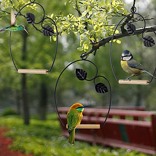 Winemana Set Of 3 Hummingbird Swings, Rust Resistant Metal Frame, Wooden Dowel, Attach To Bird Feeders, Perfect For Hanging Indoor Office Outdoor Trunk Lawn Patio Garden #TOP6
