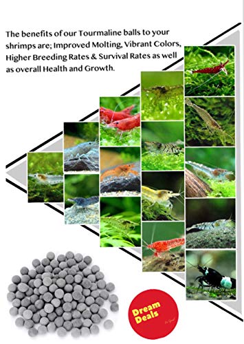 DreamDealsSG 100 Pieces Tourmaline Balls for Betta Fish Tank Accessories. Mineral Calcium Supplement. Live Shrimp Food… - Image 7