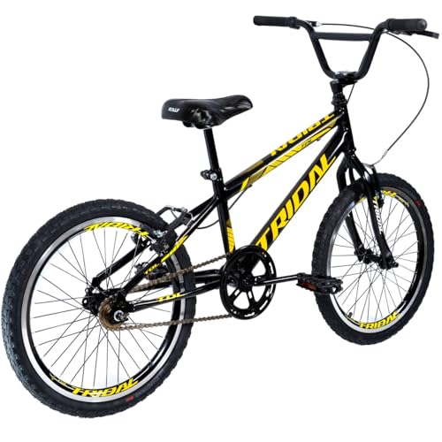 Bicicleta Infantil Aro 20 Bmx Cross Tridal Bike Freios V-Brake (Preto)