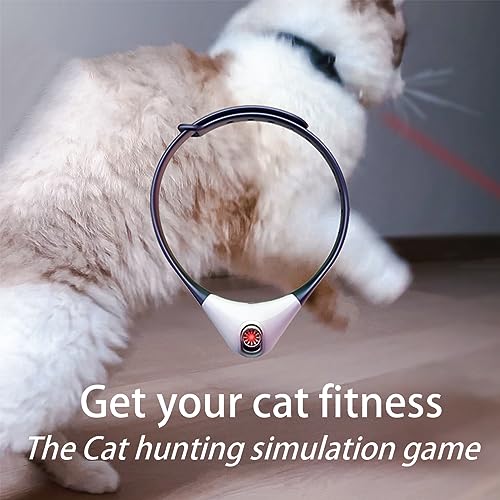 Elektrisches Intelligentes Halsband für Kätzchen, Tragbares Interaktives Katzenspielzeug, Amüsantes Automatische Katzenhalsbandspielzeug mit LED-Leuchten, Haustiere Katzen Übungsspielzeug (Schwarz)