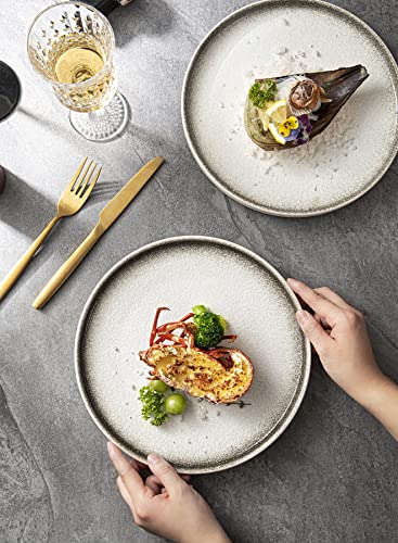 S&Q's Ceramics Dinner Plates Set For Kitchen, Microwave, Oven And Dishwasher Safe, Scratch Resistant (10 Inch), [Set Of 6] (Irony White) #TOP4