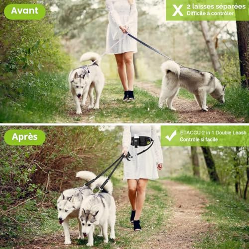 ETACCU Laisse Libres pour 2 Chiens, Poignée de Circulation Robuste, Laisse Canicross Chien, Ceinture Réglable avec pochette, Couture Réfléchissante, Idéal pour Course à Pied et Marche – vue 6
