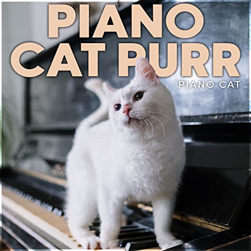 Amazon MusicでPiano CatのPiano Cat Purrを再生する