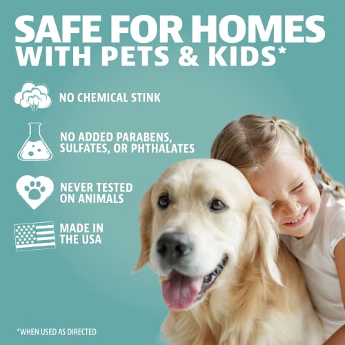 Angry Orange Pet Odor Eliminator For Home And Traveling Pack Of 2, Travel Size 2Oz, Pet Smell Remover Sprays-Works On Indoor, Outdoor, And Non-Leather Furniture, Meets Tsa Guidelines #TOP4