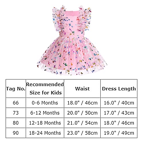 My First Birthday Dress Baby Girl Newborn Coming Home One Year Old Party Outfit Love Heart Ruffle Tutu Tulle Princess Romper Dress Toddler Special Occasion Easter Pageant Wedding Pink Butterfly 18-24M #TOP6