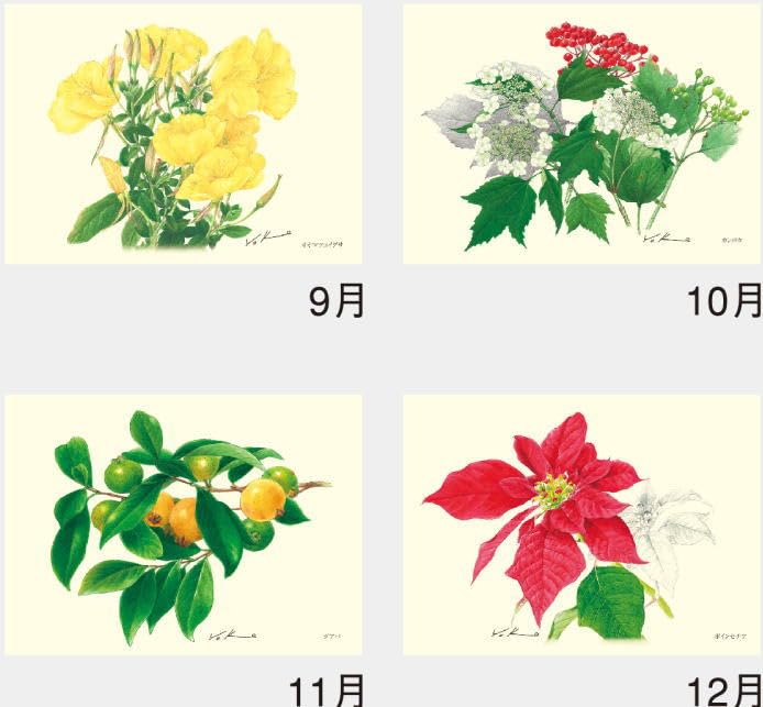 Amazon | カレンダー 2026年 花 壁掛け ボタニカルアート 内城葉子作品