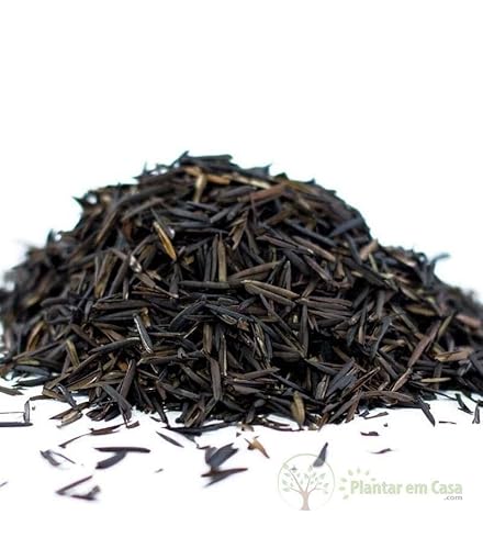 Casca de Arroz Carbonizada Substrato Para Plantas Pacote (3 Litros)