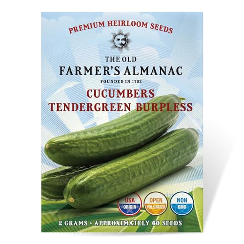 The Old Farmer's Almanac Heirloom Tendergreen Burpless Cucumber Seeds - Premium Non-GMO, Open Pollinated, Heirloom, USA Origin (1 Packet (2 Grams - Approx 60 Seeds))