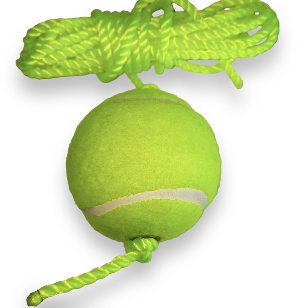 TS Playy Hanging Tennis Ball with Rope, 3.5m, Green, Single Ball (B0D12XS554) Amazon Price History, Amazon Price Tracker
