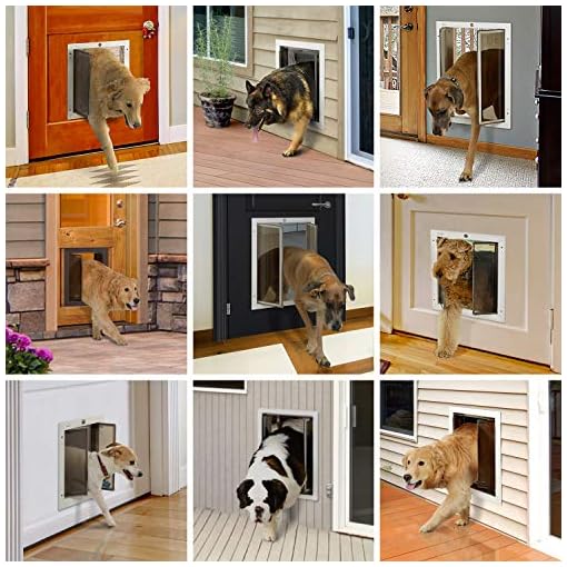PlexiDor Performance Pet Doors XLarge Silver Wall Mount Awesome Pet