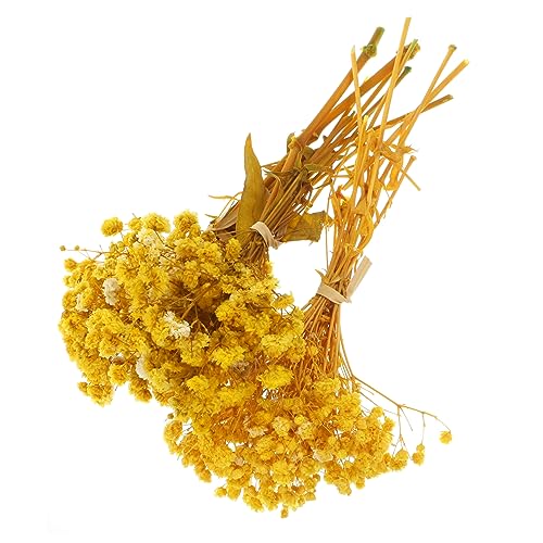 Ramo Artificial de Gypsophila Seco para Decoración