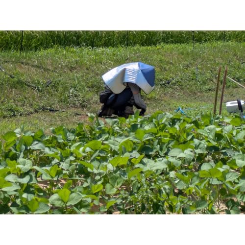 Chillies, Cucumbers and a Broken Wrist: July on the Farm