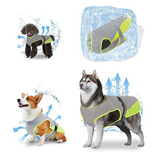 Ice Pack for Dogs The 15 best products compared Wild Explained