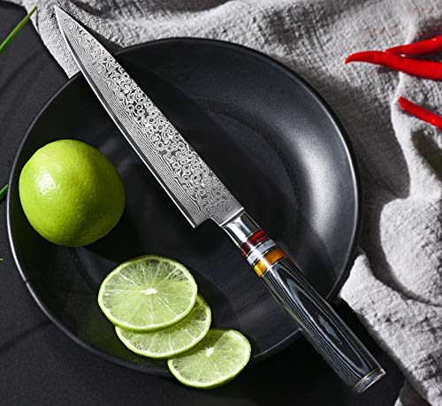 Utility Chef Knife 6 Inch Chef Knife Japanese Damascus Utility Kitchen Knife Japanese Paring Knife Damascus Steel High Carbon 67-Layer Ultra Sharp Kitchen Meat Cutting Gyuto Chef Knife [Gift Box] #TOP2
