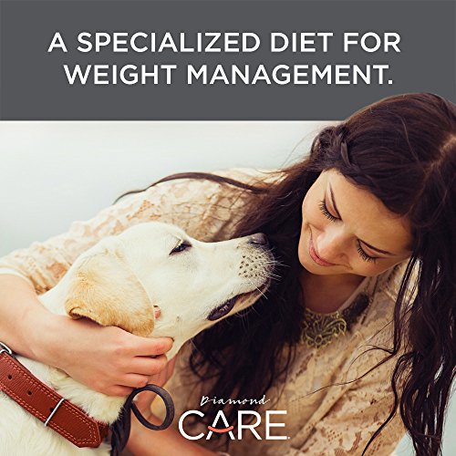 Diamond CARE Specialized Grain-Free Formulation Adult Dry Dog Food to Support Healthy Weight Management Made with prime Lamb Protein, Probiotics and High Fiber to Aid in Weight Control 25lb