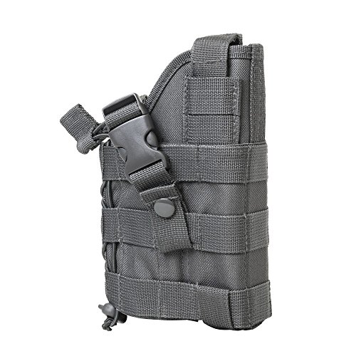 M1Surplus Wolf Grey Molle Compatible Holster With Free Molle Compatible 2 Pocket Magazine Pouch/The Holster Fits Sig Sauer P220 P226 P227 P229 P250 P270 Sp2022 Mosquito Full Size Pistols #TOP1