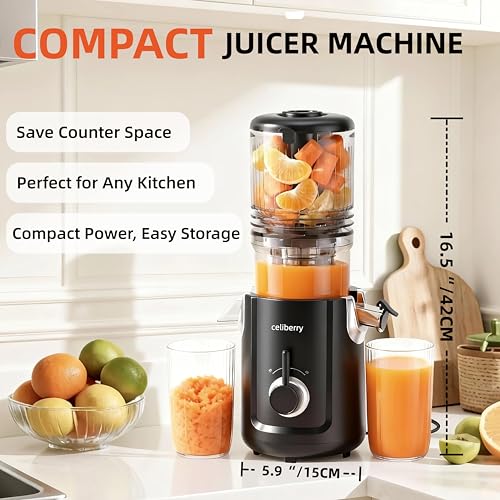 Image of Cold Press Juicer Machines, 5.3 inch Large Feed Chute Slow Juicer | 60s Easy To Clean Masticating Juicer for Whole Fruits & Vegetables, 300 W Quiet Juice Extractor, 99% High Juice Yield