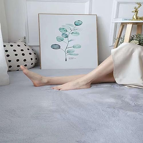 Tapis de salon toucher nuage imitation lapin pour le calme - 2