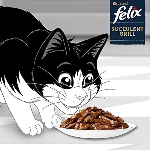 FELIX | Succulent Grill | ausgewachsene Katze | Auswahl der Kampagne in Sauce: Rind, Huhn, Ente, Truthahn | Nassfutter 100% komplett und ausgewogen | Frischebeutel | 72 x 80 g