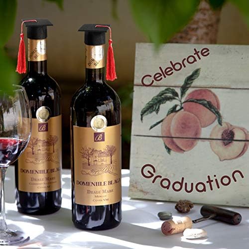 Miniatura 5 de 36 mini gorras de graduación 2024 con borlas para botellas de vino de graduación (gorra negra con borla roja)