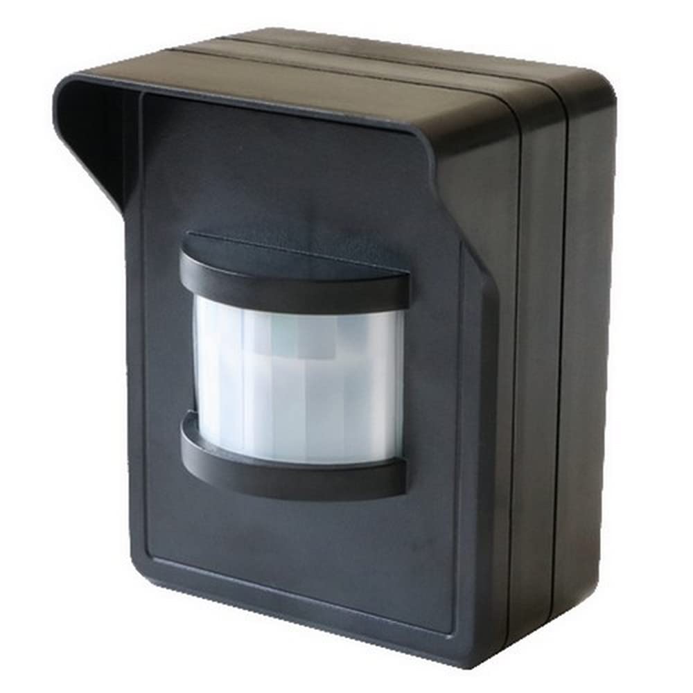 PD-541 DIW-FUNK - Detector de movimiento para interior y exterior (con receptor, toma de corriente inalámbrica, 2300 W, enchufe intermedio y emisor manual)