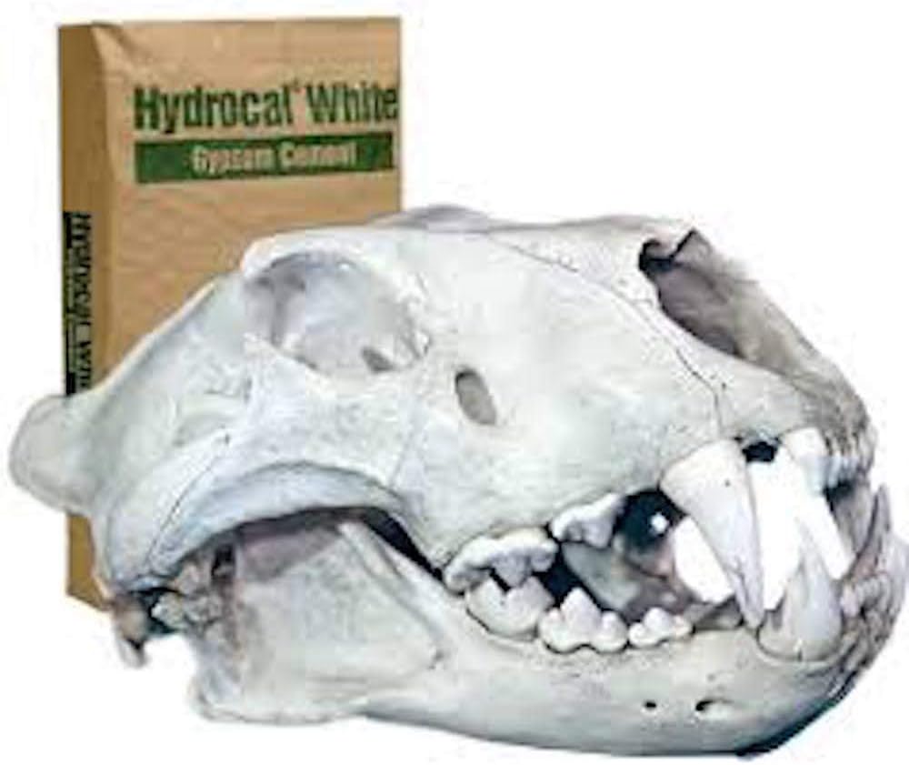 Hydrocal Plaster for Scenery, Dioramas, Dentistry and Mold Casting Plaster Resealable Bag Great for Model Railroads (10 Pounds)