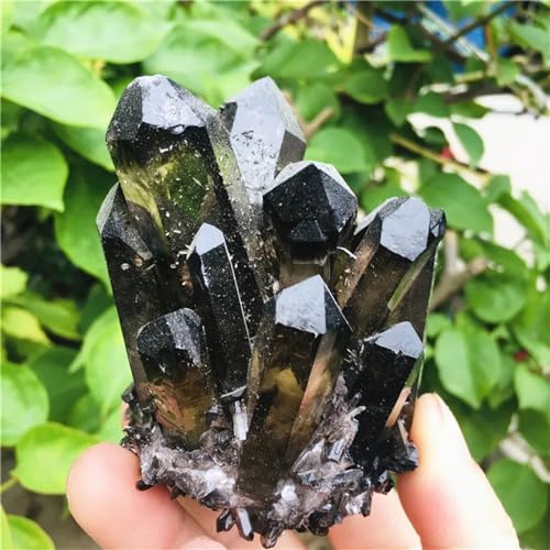 Quartz fantôme noir de 700-800g pour surmonter le stress et purifier votre intérieur