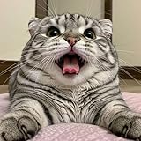 Photo Gallery happy april fool s day Photo Gallery happy april fool s day