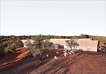 Amazon.com: Built: by Valerio Olgiati: 9783038602835