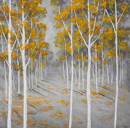 Birch Forest Poster Print by Atelier B Art Studio (12 x 12)